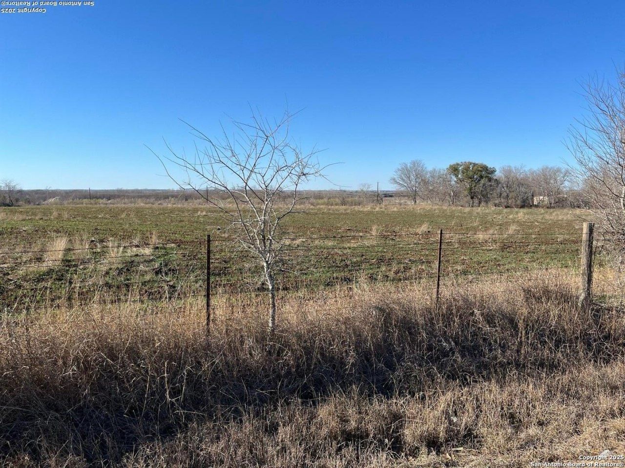 10071 Hackelberg Rd, Atascosa, TX 78002 Main Photo