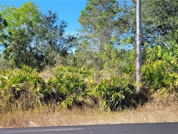 2020 Monroe AVE, ALVA, FL 33920