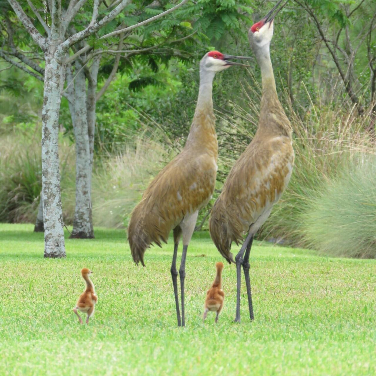 7715 Maywood Crest Drive, Palm Beach Gardens, FL 33412 Photo