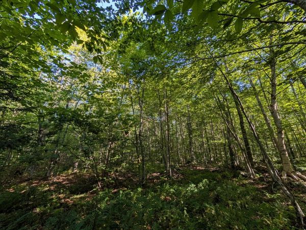 00 Highland Drive, Unit 1, Montgomery, VT 05471