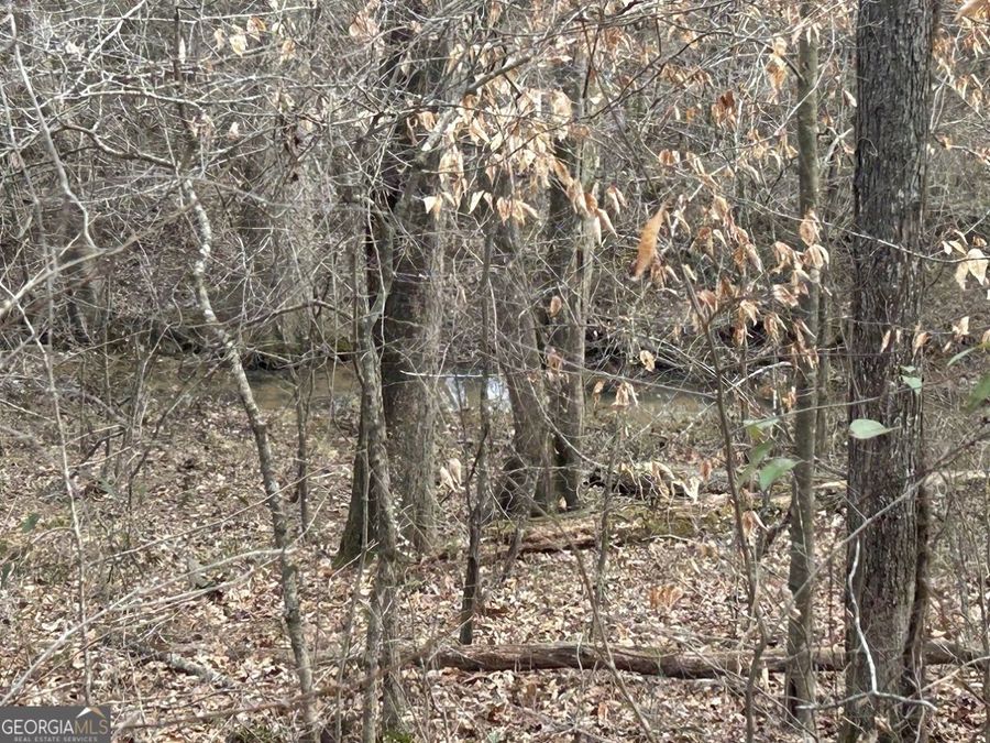Property Image 62