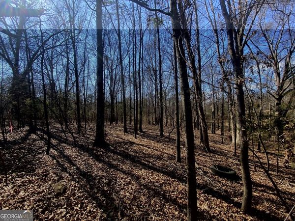 LOT 5 Majestic Shores Road, Hartwell, GA 30643