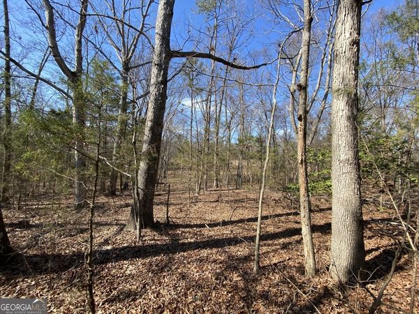 LOT 6 Majestic Shores Road, Hartwell, GA 30643
