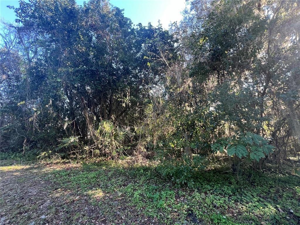 Se 14 Street, Ocala, FL 34470 Photo
