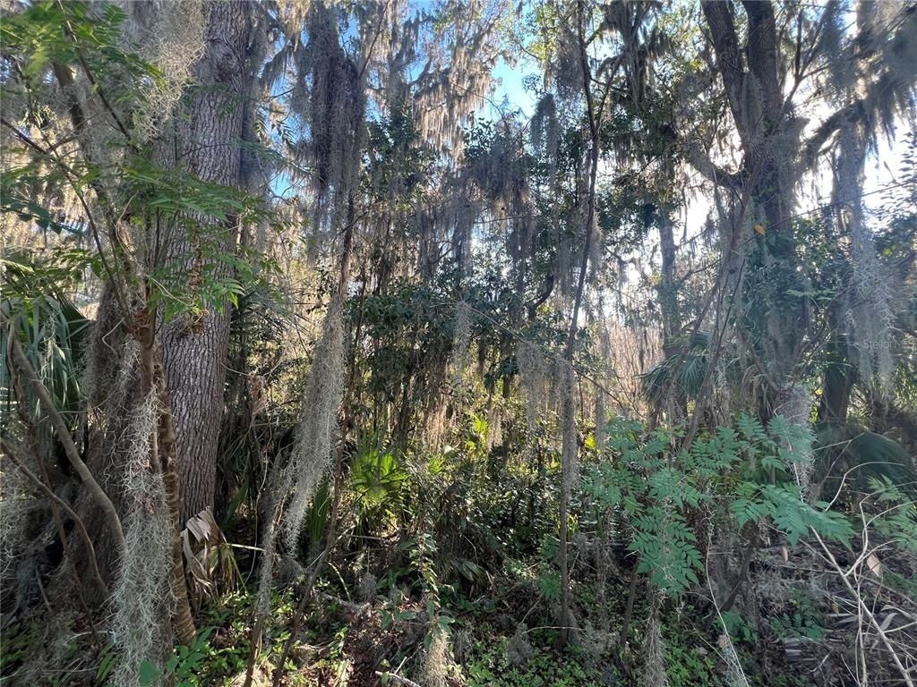 Se 14 Street, Ocala, FL 34470 Photo