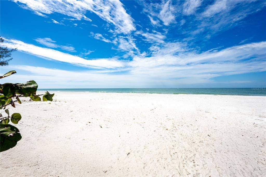 20256 Gulf Boulevard, Indian Shores, FL 33785 Photo