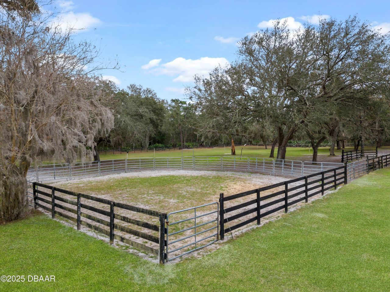 1715 Fern Park Drive, Port Orange, FL 32128 Photo