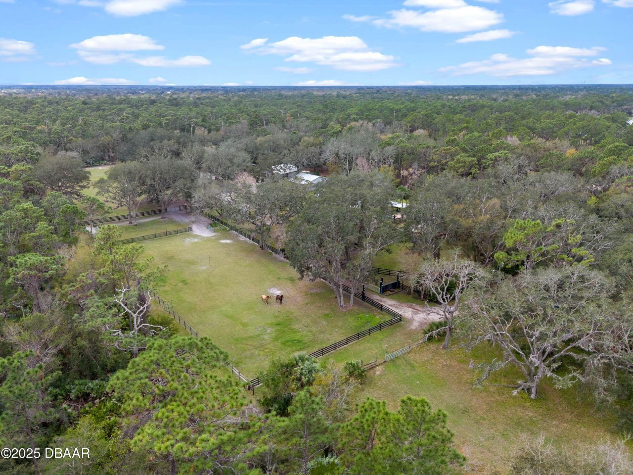 1715 Fern Park Drive, Port Orange, FL 32128 Photo