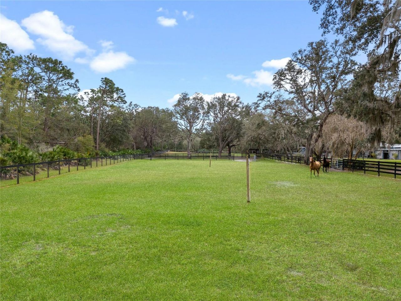 1715 Fern Park Drive, Port Orange, FL 32128 Photo