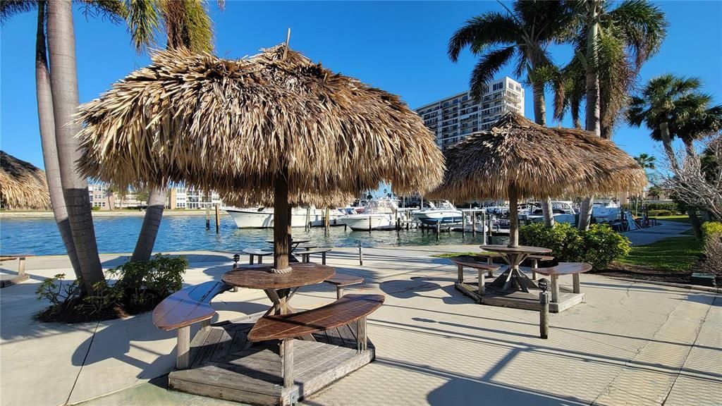 7700 Sun Island Drive S, Unit 608, South Pasadena, FL 33707 Photo