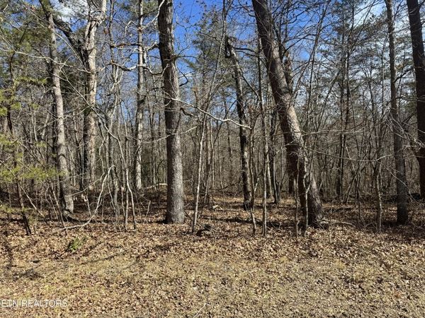 Cumberland Lakes Drive, Monterey, TN 38574