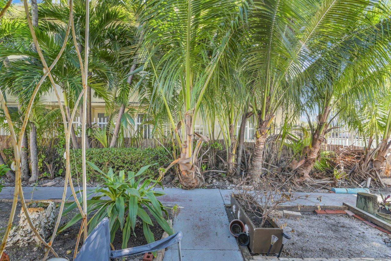 8430 Byron Avenue, Miami Beach, FL 33141 Photo