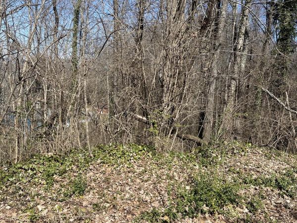 98 Geneva Circle SE, Morristown, TN 37813