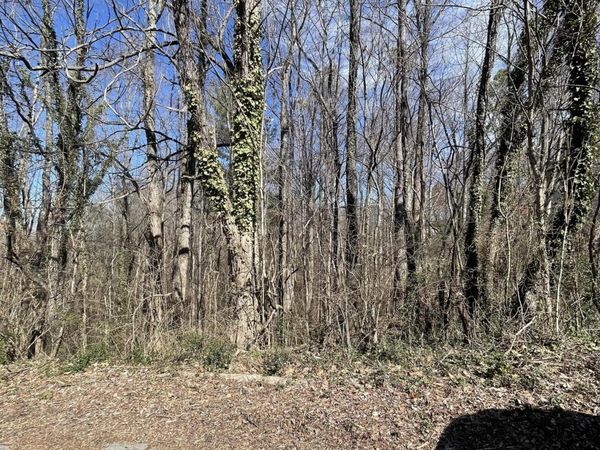 Lot 99 Geneva Circle, Morristown, TN 37813