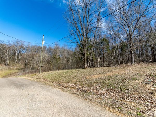 0 Salt Ln, Savannah, TN 38372