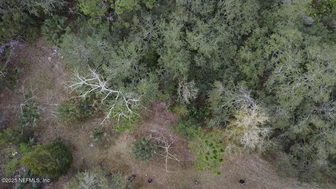 1252 Old Highway 17, Crescent City, FL 32112 Main Photo