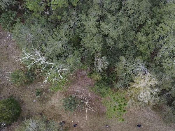 1252 OLD HIGHWAY 17, Crescent City, FL 32112