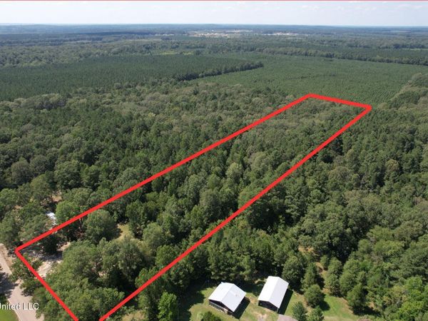 1603 Holly Bush Road, Pelahatchie, MS 39145