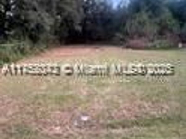 1029 State St, Fellsmere, FL 32948