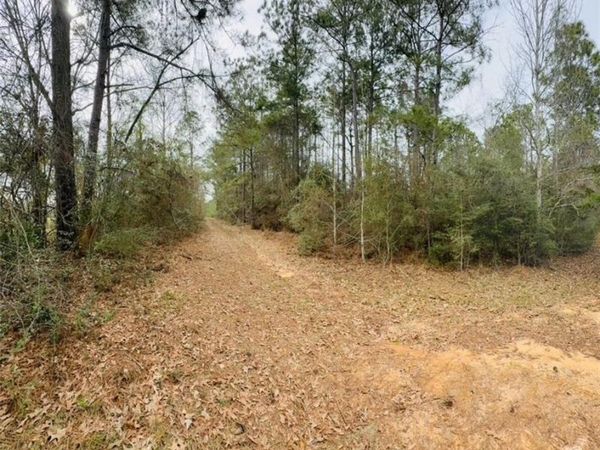 0 Road Street, Citronelle, AL 36521