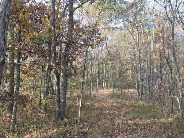 00 Rt. 152, Wayne, WV 25570