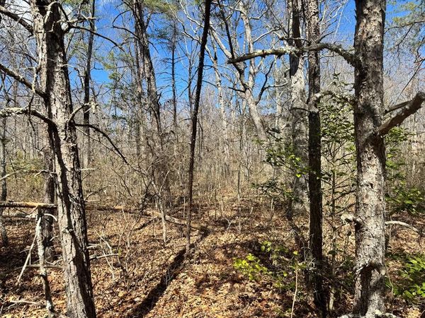 0 Divide Trail, Monterey, TN 38574