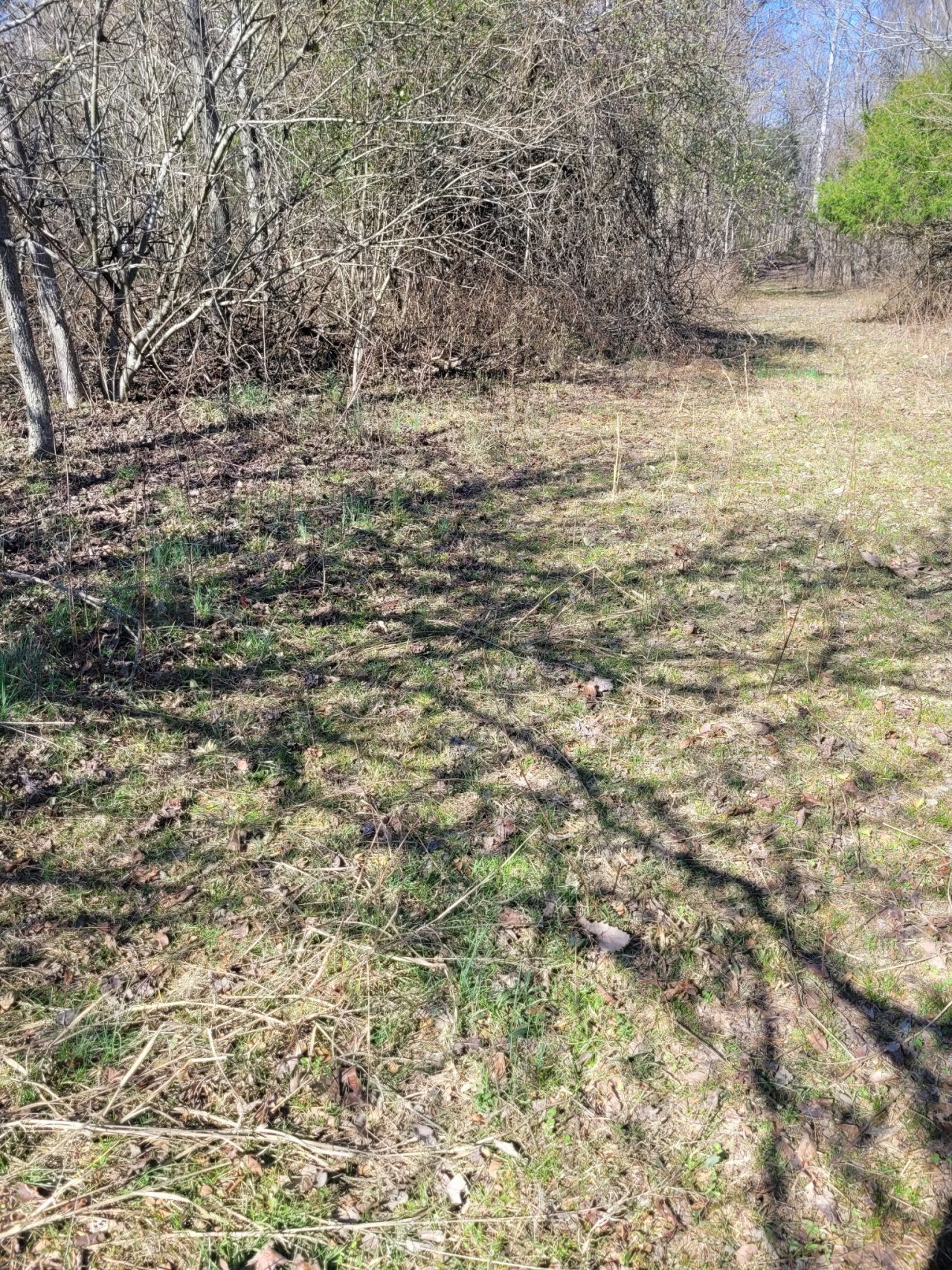 0 Cowhorne Hollow Rd, Prospect, TN 38477 Main Photo