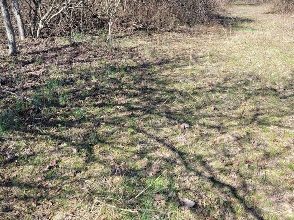 0 Cowhorne Hollow Rd, Prospect, TN 38477