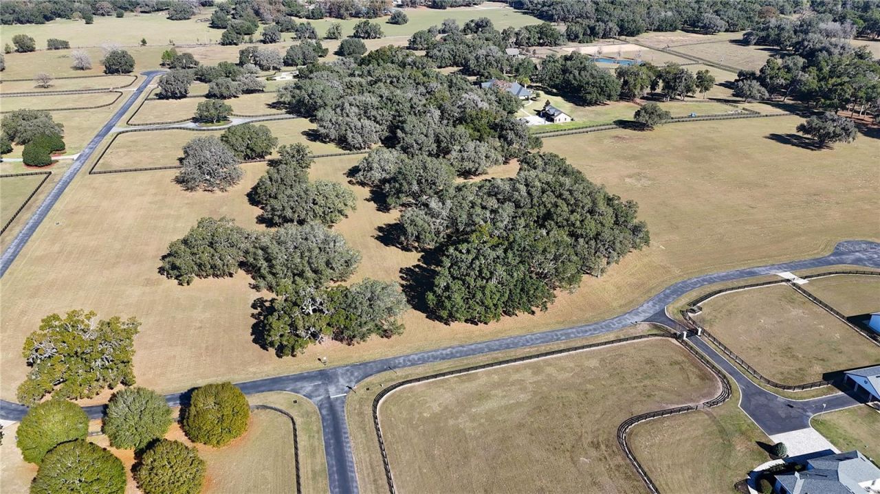 Tbd SW 104th Street Road, Ocala, FL 34476 Photo