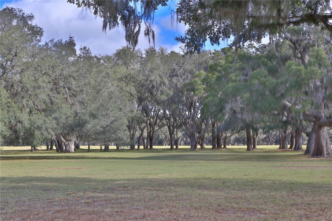 Tbd SW 104th Street Road, Ocala, FL 34476 Photo