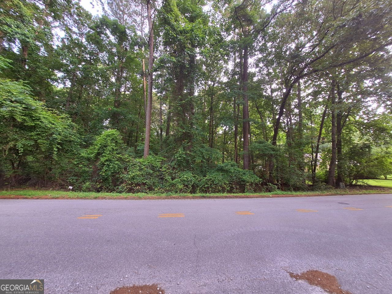 Lot 20 Cardinal Drive, Monticello, GA 31064 Main Photo