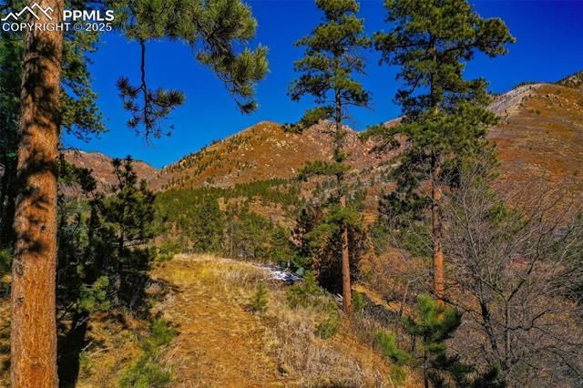 5330 Chipita Pines Drive, Cascade, CO 80809 Main Photo