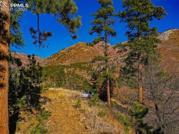 5330 Chipita Pines Drive, Cascade, CO 80809