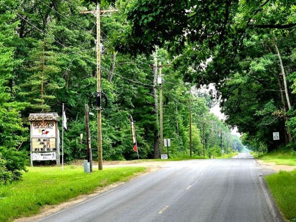 W 11 Mile Avenue, Bitely, MI 49309