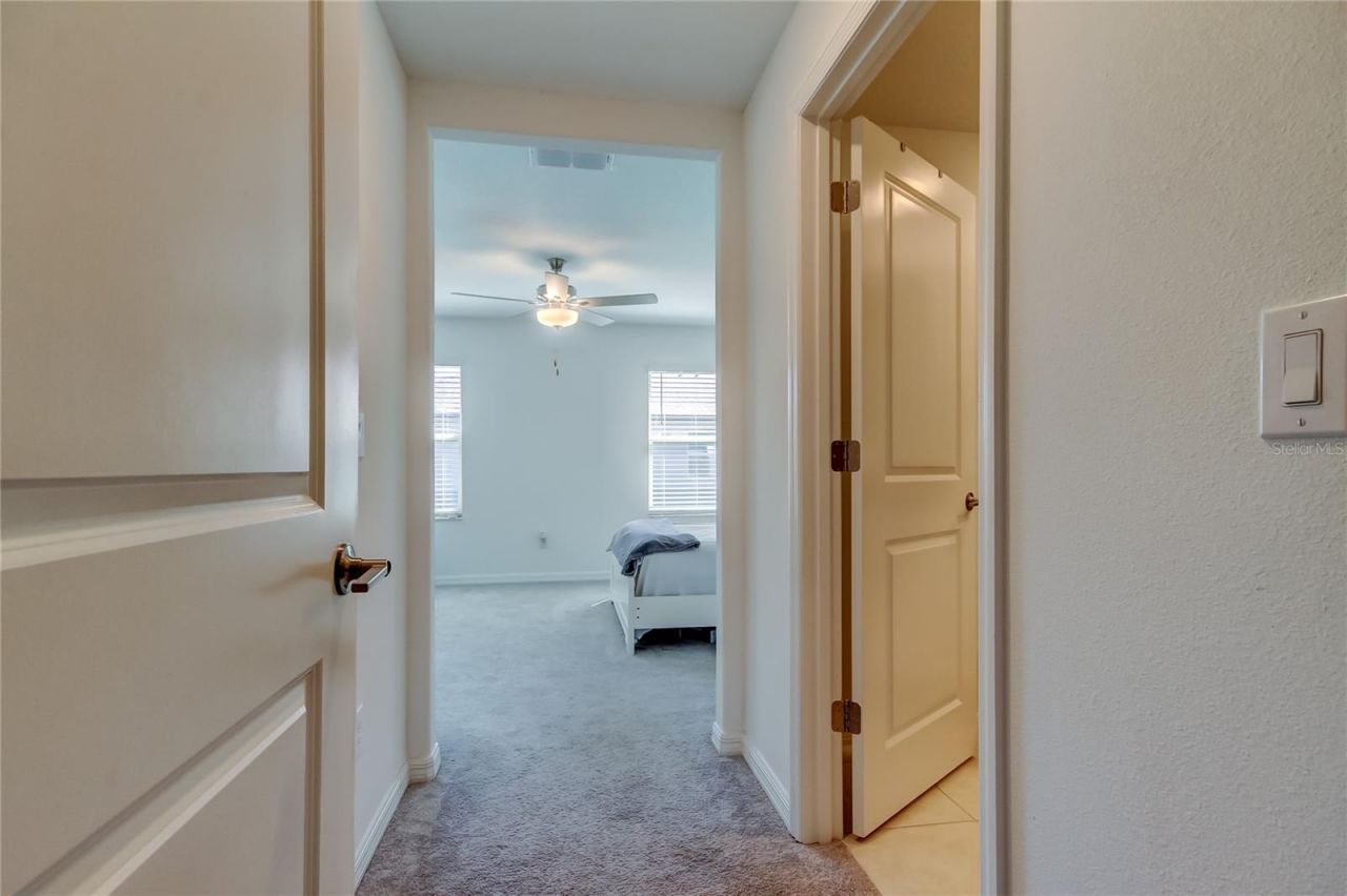 8294 Corner Pine Way, New Port Richey, FL 34655 Photo