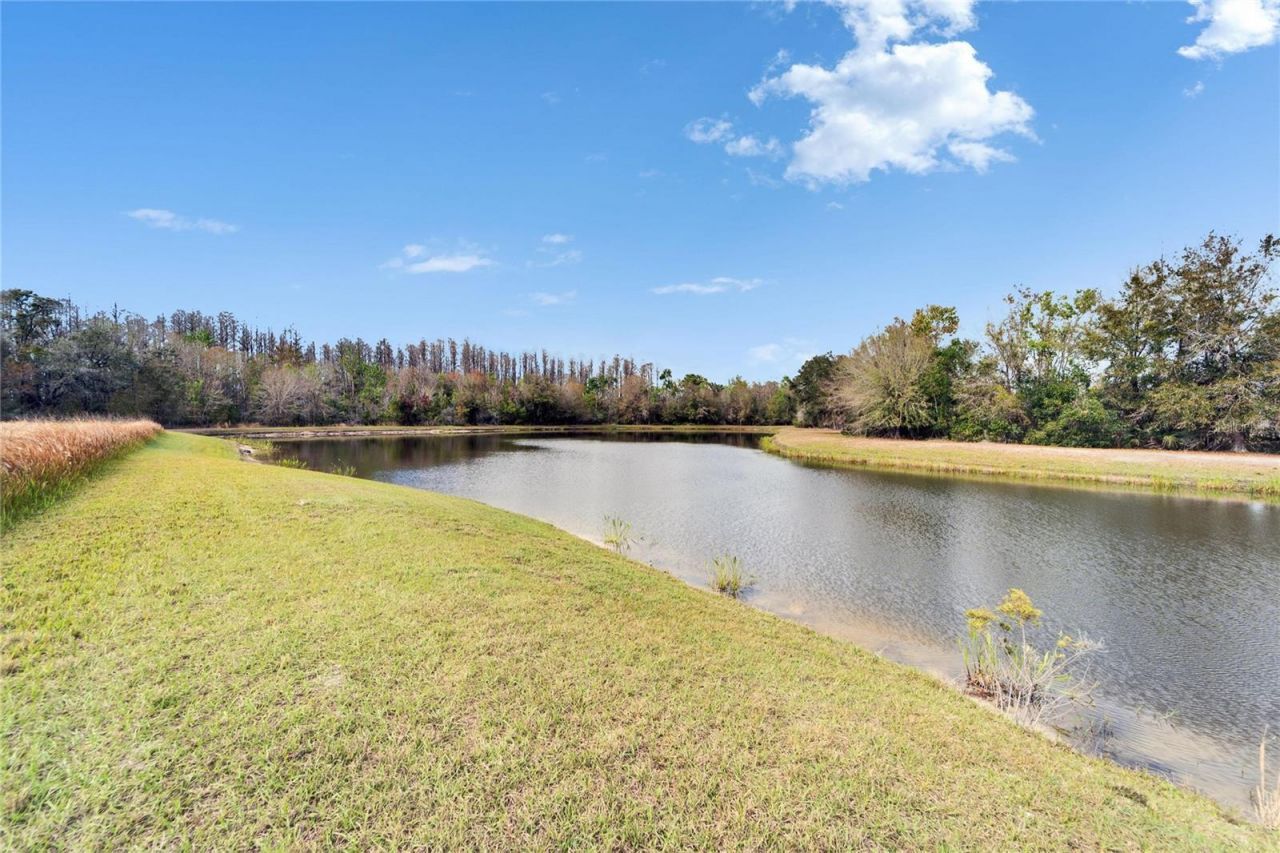 19300 Lonesome Pine Drive, Land O Lakes, FL 34638 Photo