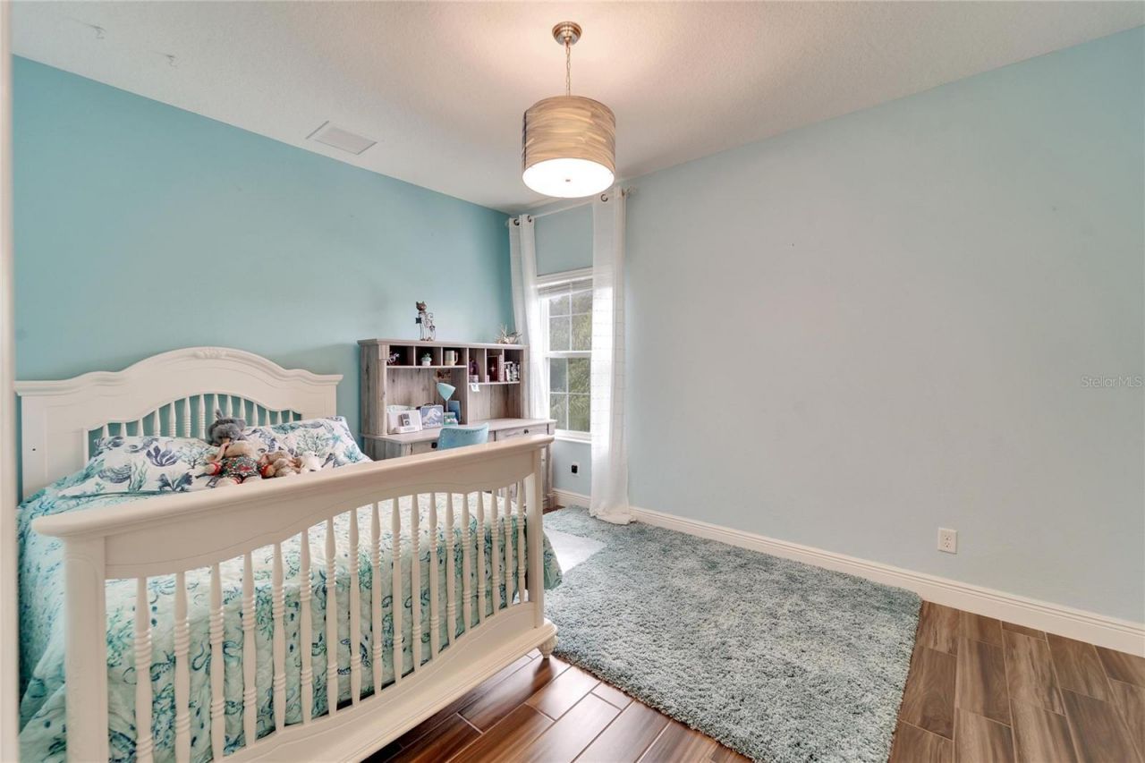 19300 Lonesome Pine Drive, Land O Lakes, FL 34638 Photo