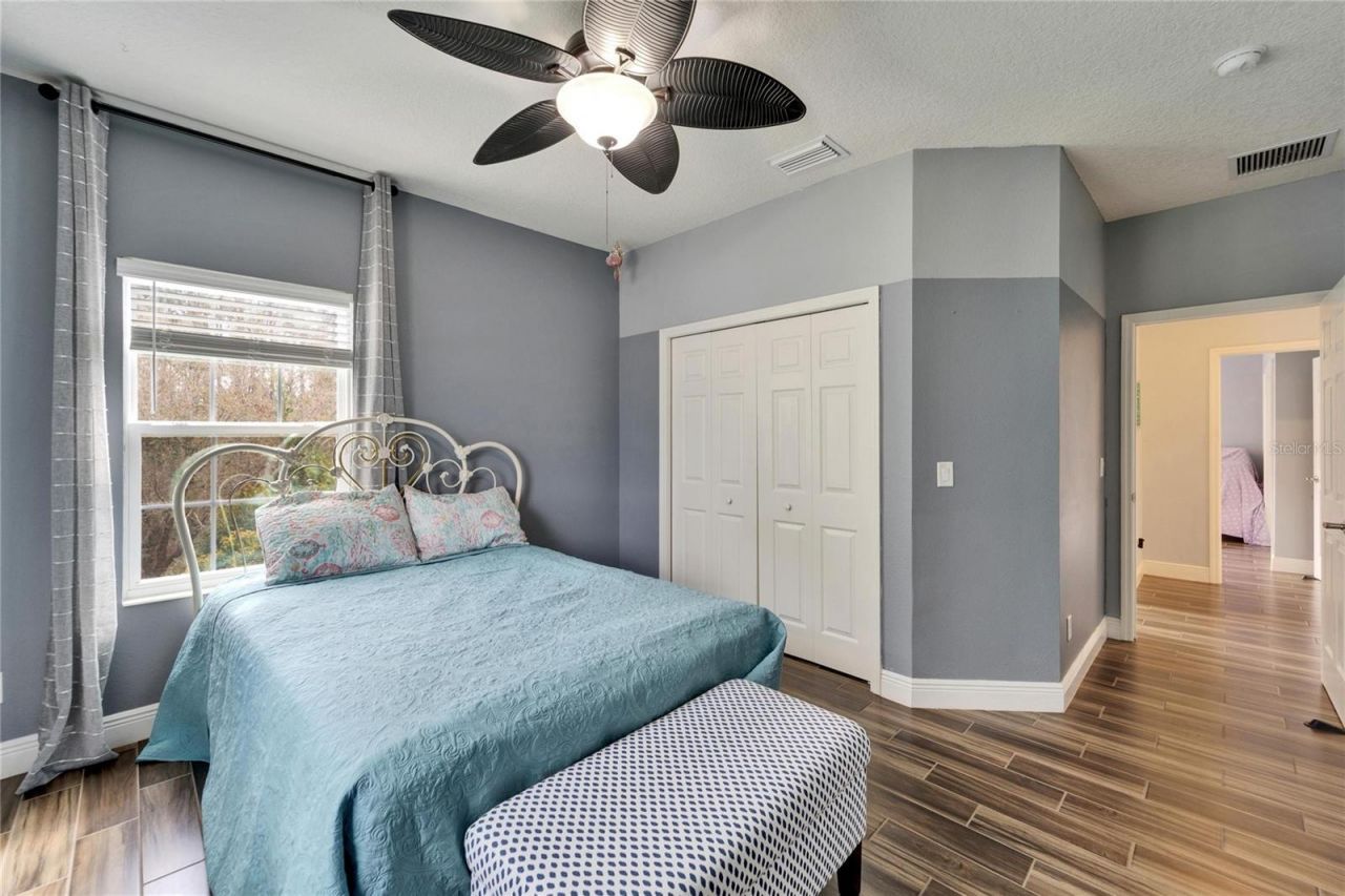 19300 Lonesome Pine Drive, Land O Lakes, FL 34638 Photo