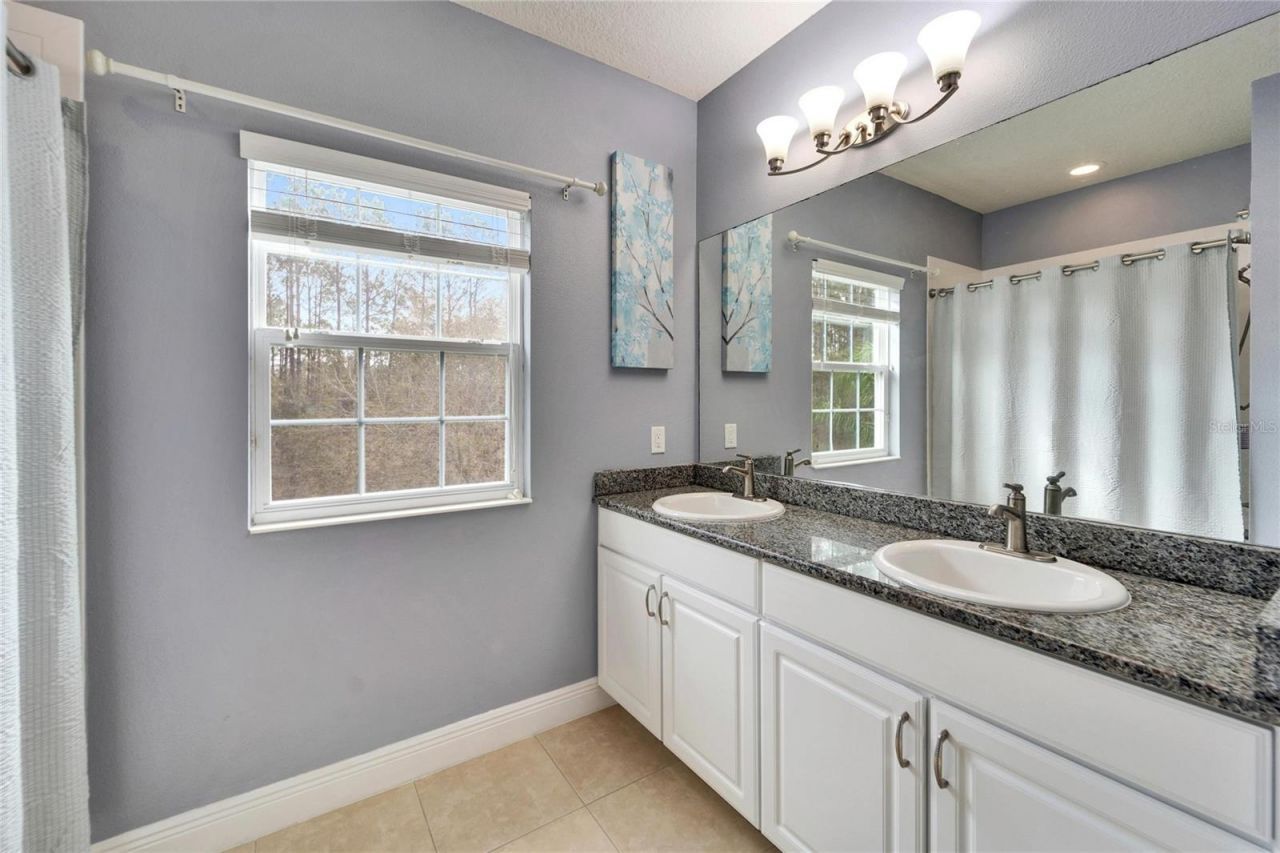 19300 Lonesome Pine Drive, Land O Lakes, FL 34638 Photo