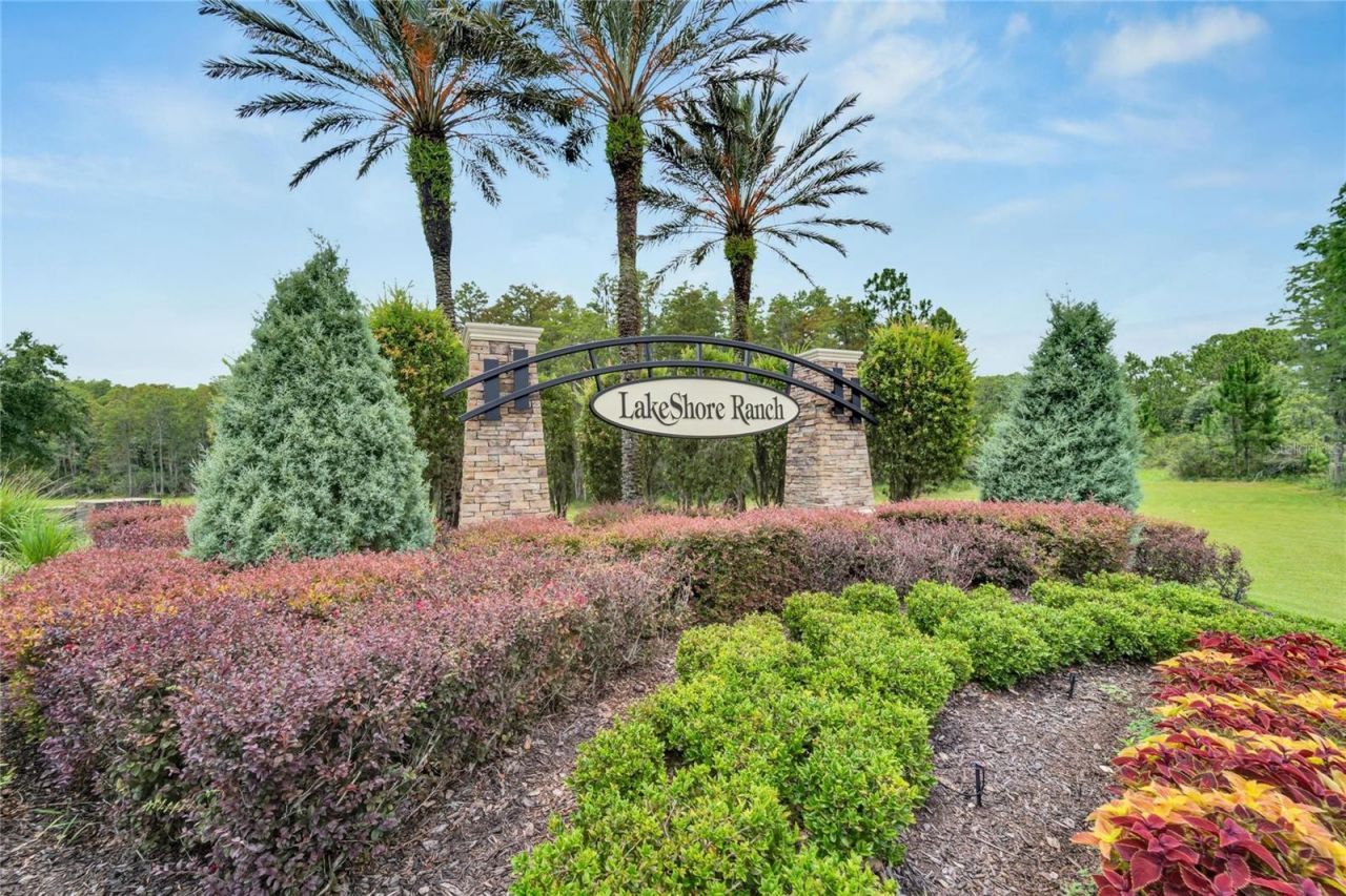 19300 Lonesome Pine Drive, Land O Lakes, FL 34638 Photo