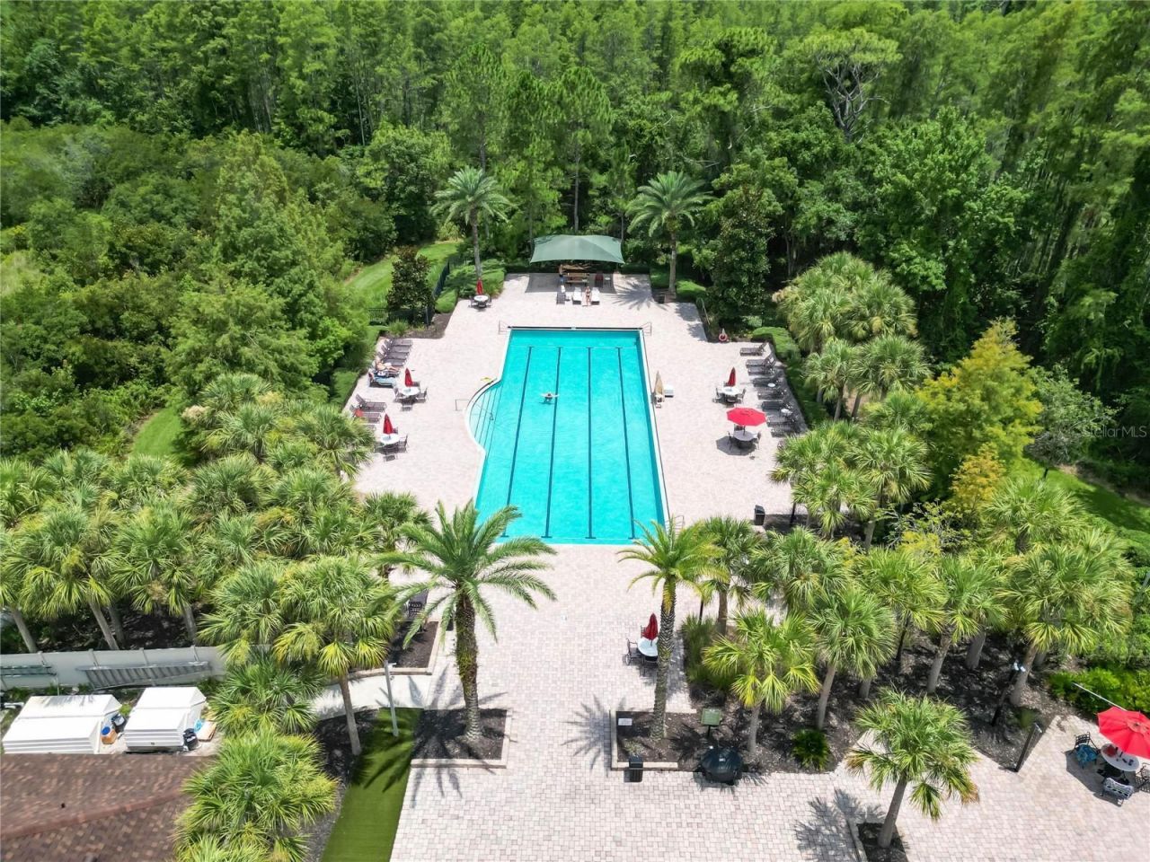 19300 Lonesome Pine Drive, Land O Lakes, FL 34638 Photo