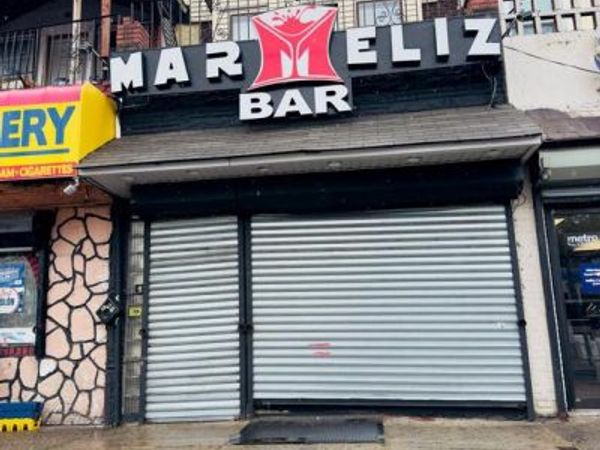 458 E WYOMING AVENUE, PHILADELPHIA, PA 19120