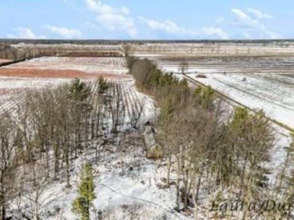 11525 Fillmore Street, West Olive, MI 49460