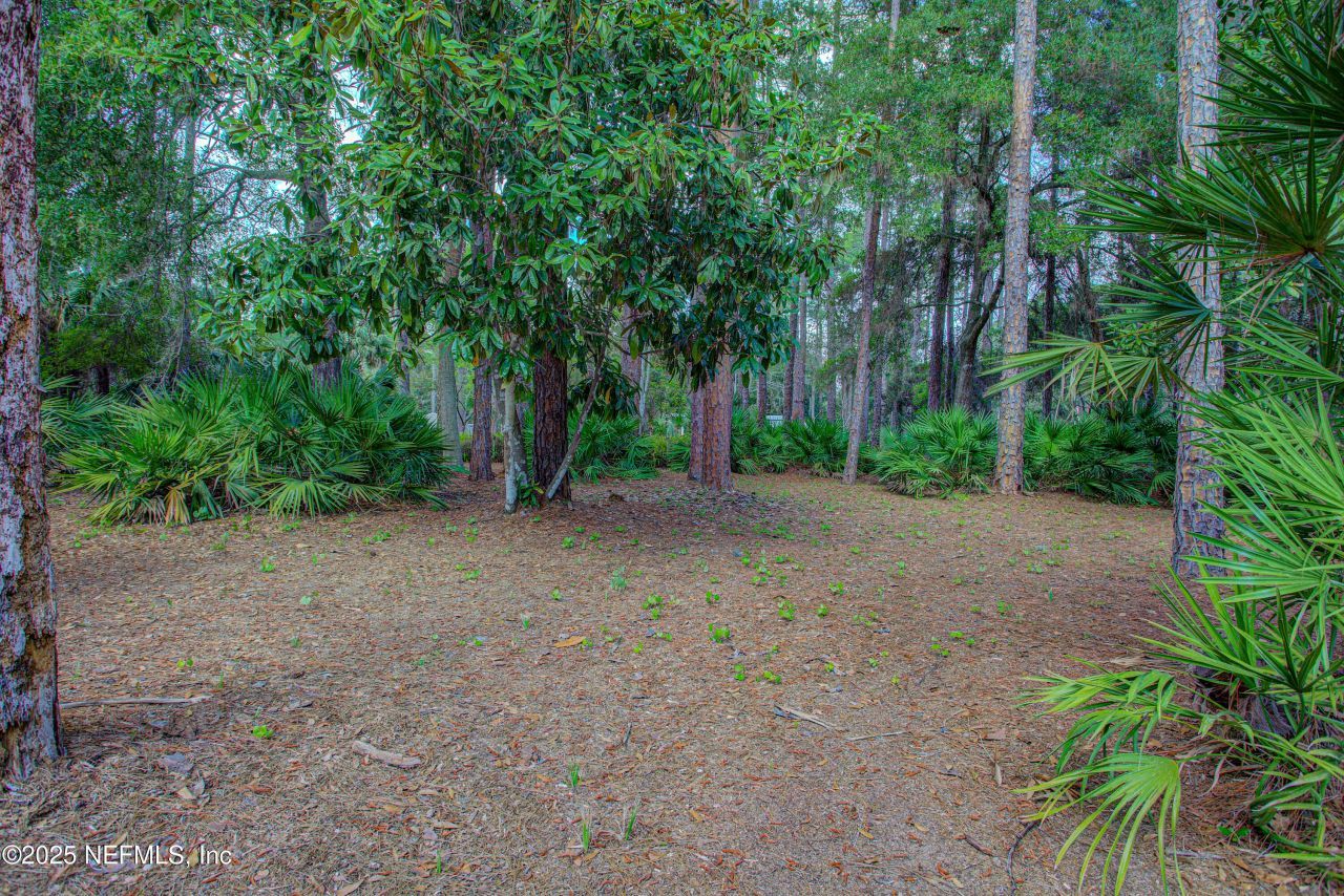 143 Mosswood Street, Georgetown, FL 32139 Photo