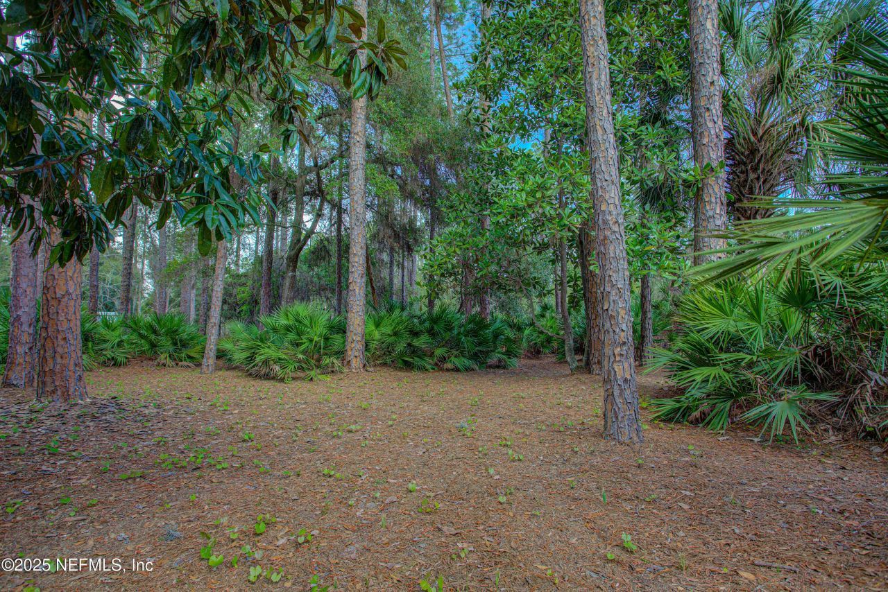 143 Mosswood Street, Georgetown, FL 32139 Photo