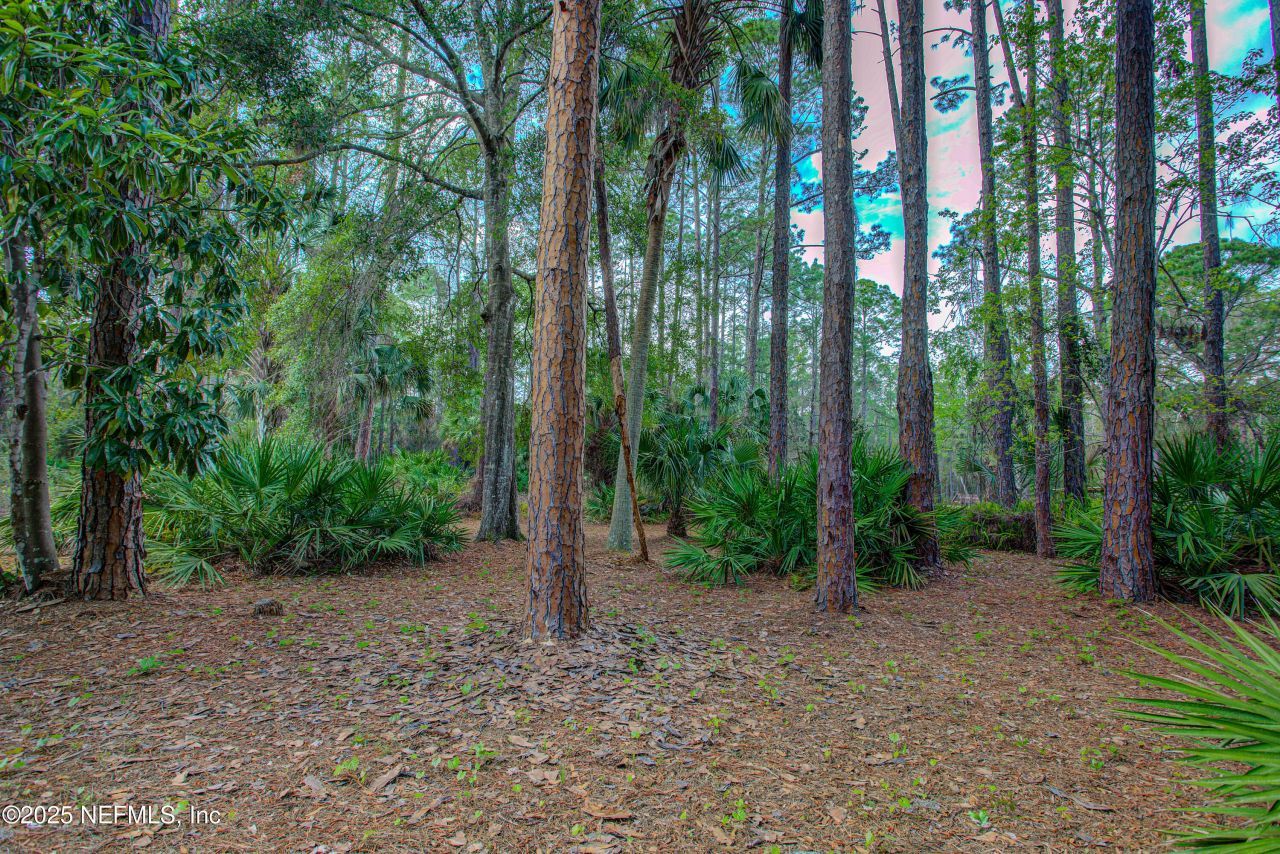 143 Mosswood Street, Georgetown, FL 32139 Photo
