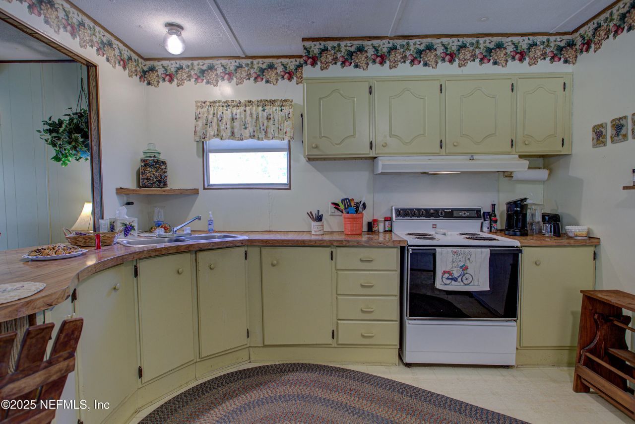 143 Mosswood Street, Georgetown, FL 32139 Photo