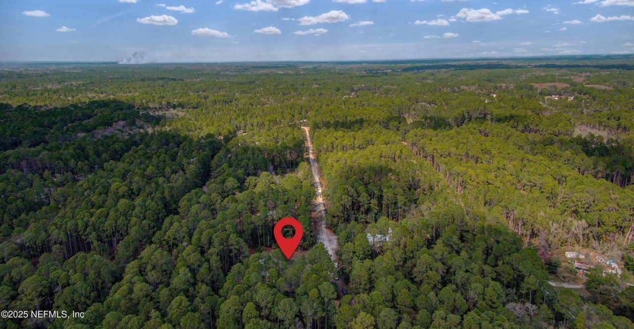 143 Mosswood Street, Georgetown, FL 32139 Photo