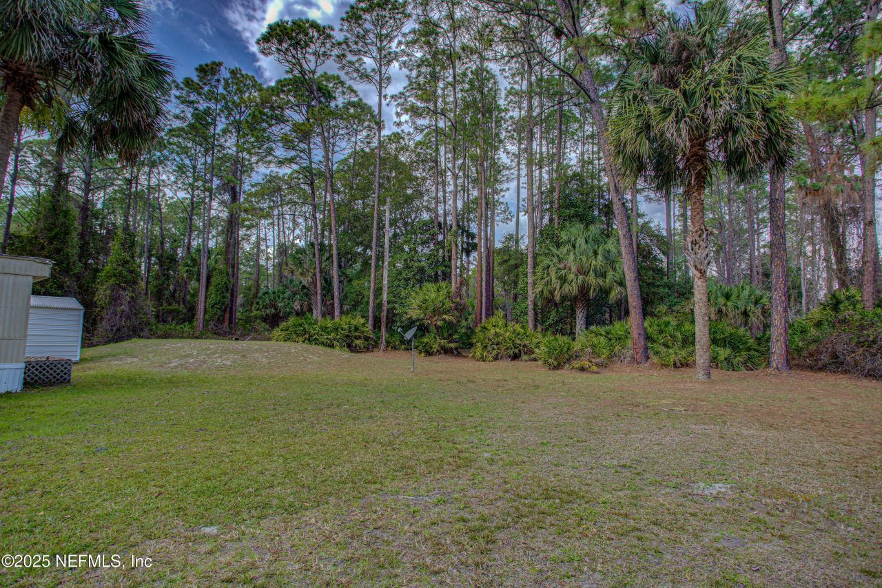 143 Mosswood Street, Georgetown, FL 32139 Photo