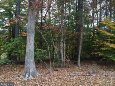 224 WOODSIDE LANE, RUTHER GLEN, VA 22546